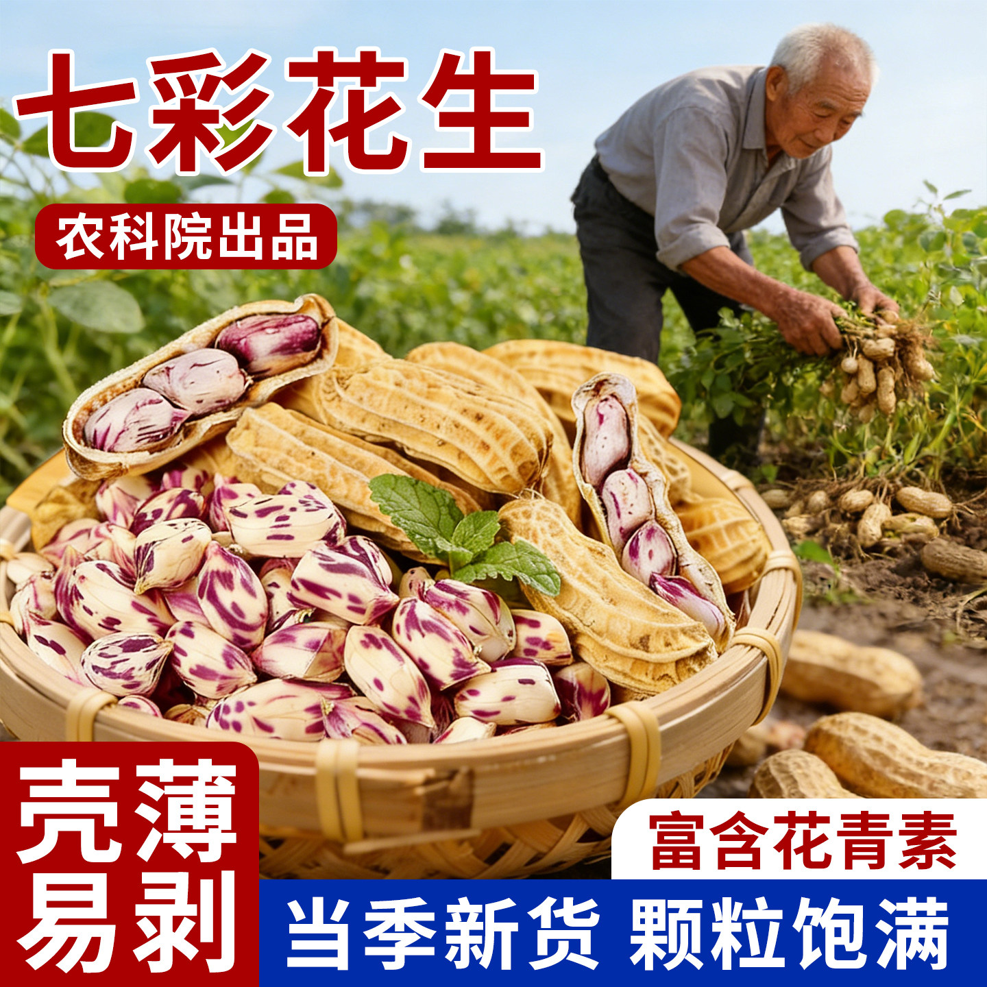 正宗云南七彩花生带壳生健康下酒菜开袋即食零食炒货原味新货五彩