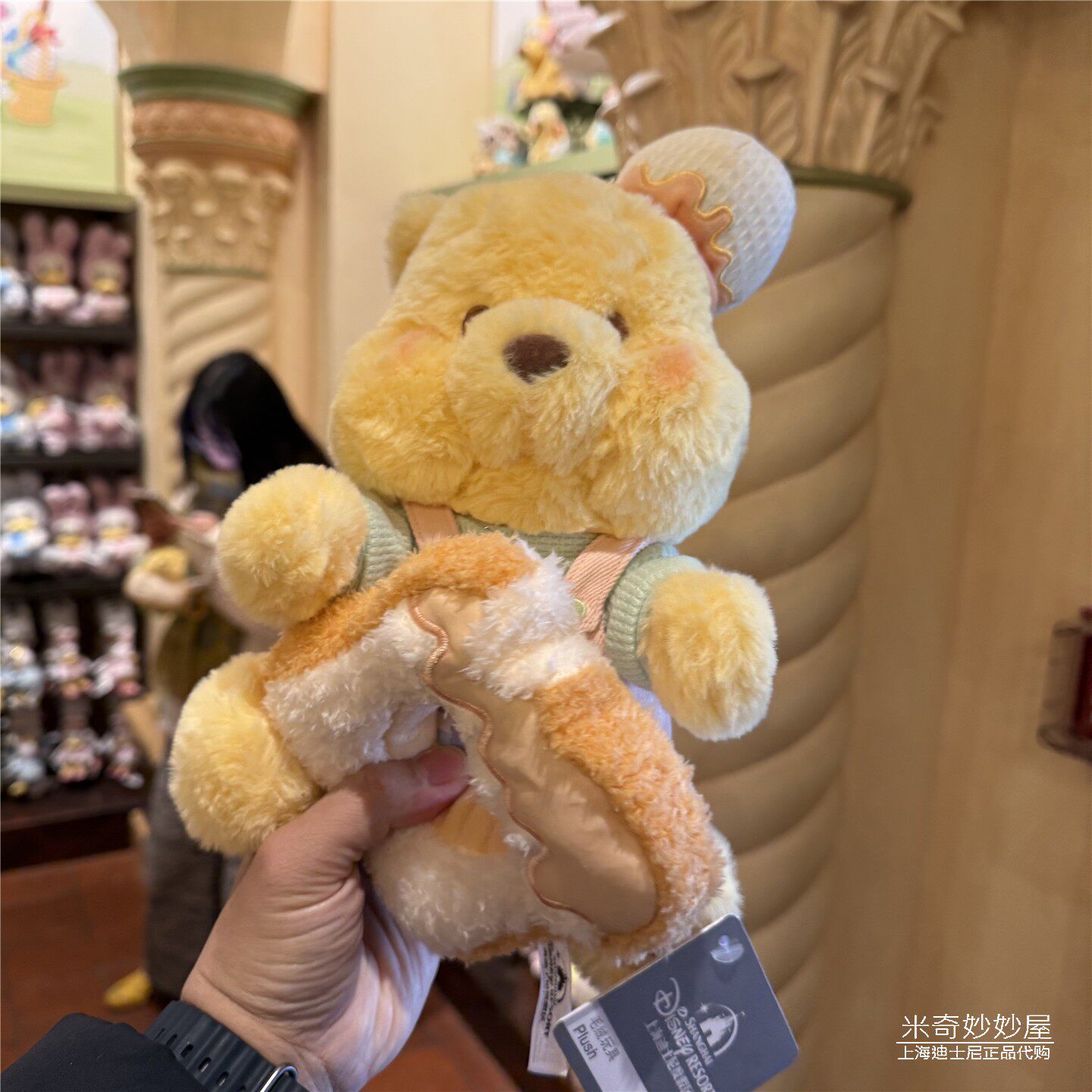 上海迪士尼乐园国内代购2026春日野餐维尼小熊噗噗毛绒玩偶公仔