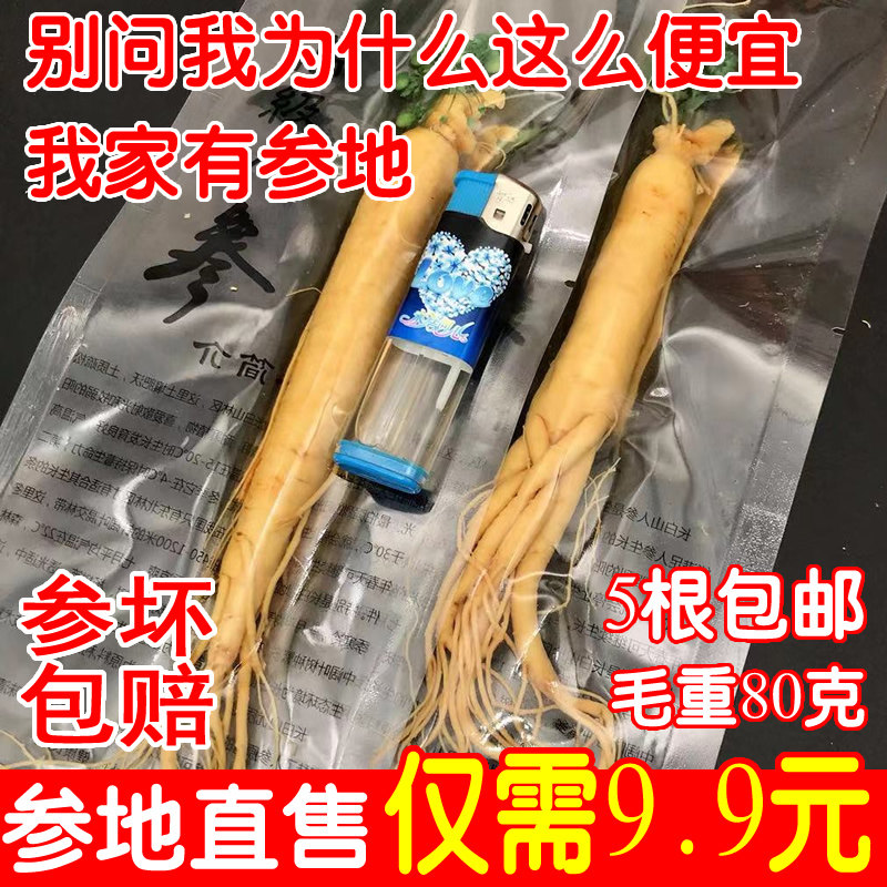 长白山新鲜人参保鲜参袋装新鲜泡酒煲汤火锅整支足年东北人身叁