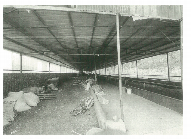 1月4日临汾牛棚网络拍卖公告