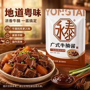 永泰广式牛腩酱100g萝卜炖牛腩牛杂煲酱料广式牛腩煲酱料火锅