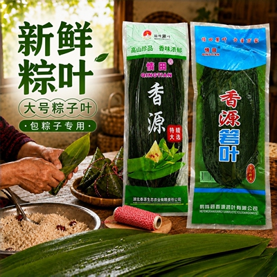 情田香源正宗大号老式粽叶新鲜纯芦苇叶箬竹粽子叶特大包粽子专用