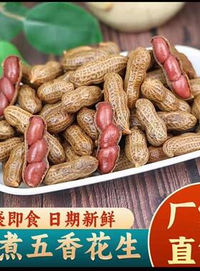 卤煮五香花生带壳即食香辣水煮花生卤汁烧烤啤酒伴侣下酒菜