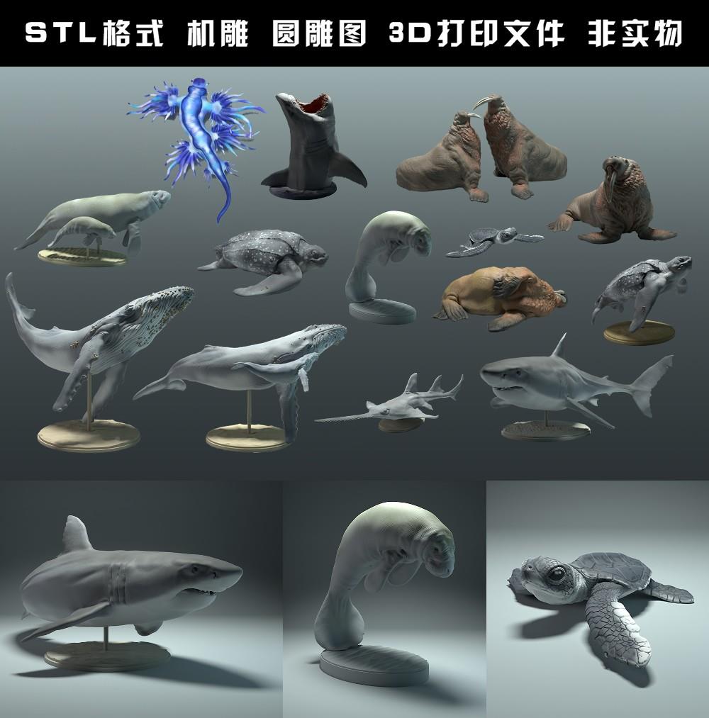 海洋生物动物鲸鱼鲨鱼海龟海象圆雕图STL文件3D打印模型图纸合集 商务/设计服务 设计素材/源文件 原图主图