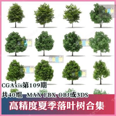 3ds max写实逼真夏季树木3D模型fbx大树3dmax绿树maya落叶obj c4d