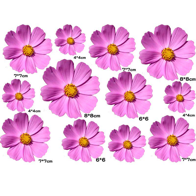 花朵贴纸遮挡划痕装饰车身贴汽车3D立体车贴装饰刮痕贴画防水贴花