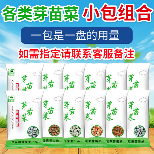 芽苗菜种子四季室内种植豌豆水培