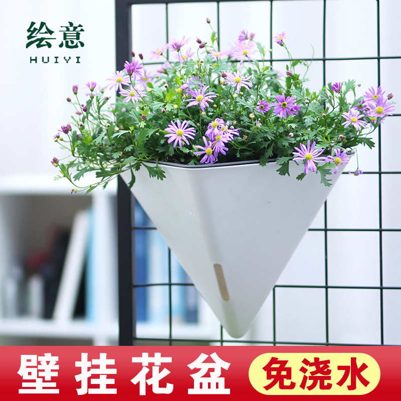 壁挂懒人盆自动吸水墙上吊盆栽种植吊兰绿萝三角形塑料悬挂式花盆