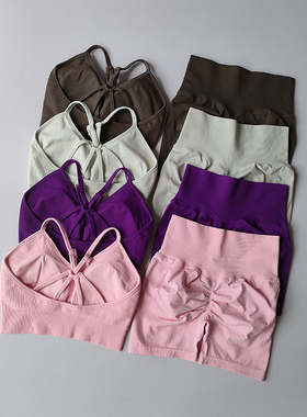 新款专业性感三分瑜伽套装女速干吊带运动文胸高腰提臀健身短裤夏
