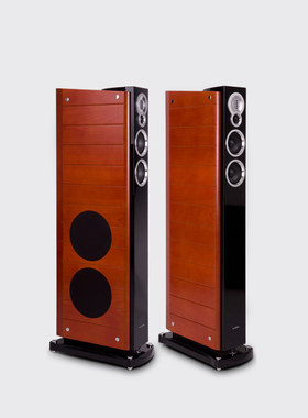 爱浪DX-6家庭影院音箱套装 主中环五件套HIFI音响5.0实木古典影院
