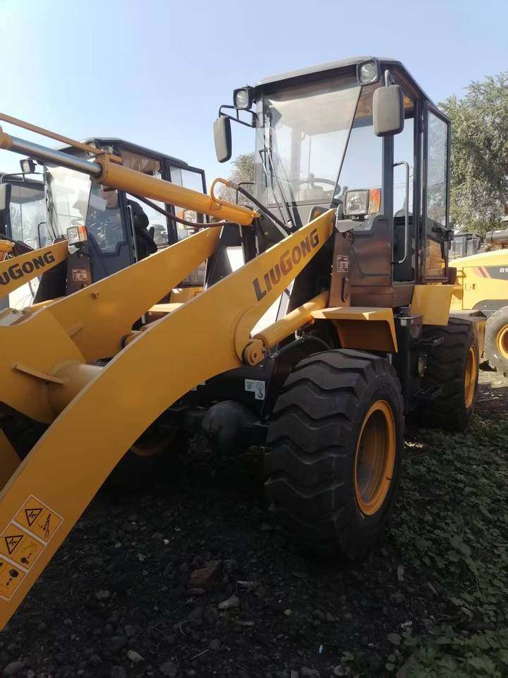 1月6日辽阳轮式装载机（产品识别代码：CLG816CZLNL757317）网络拍卖公告