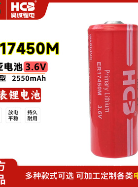 HCB昊诚ER17450M智能水表流量计温控器RAM记忆PLC工控3.6V锂电池