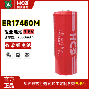 HCB昊诚ER17450M智能水表流量计温控器RAM记忆PLC工控3.6V锂电池