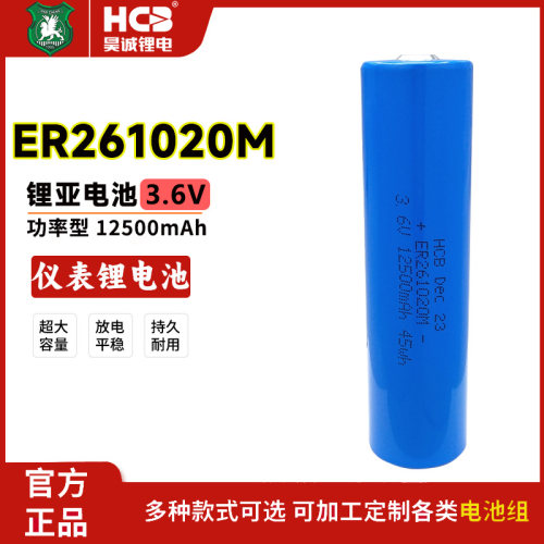 昊诚ER261020M钻探棒3.6V锂电池