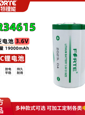 FORTE孚特ER34615智能水表天燃气流量计PLC工控1号D型3.6V锂电池