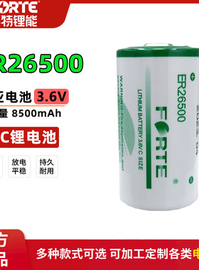 FORTE孚特ER26500智能水表燃气表流量计PLC工控2号C型3.6V锂电池