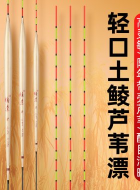 正品手工带壳芦苇浮漂加粗醒目高灵敏轻口土鲮鱼漂野钓黑坑鲤鱼漂