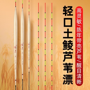 正品手工带壳芦苇浮漂加粗醒目高灵敏轻口土鲮鱼漂野钓黑坑鲤鱼漂
