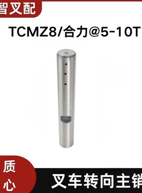 TCMZ8  合力@5-10T 叉车立轴大王主销 55902-42101