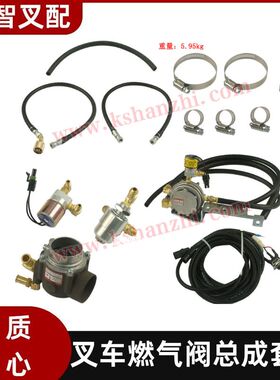 尼桑K21/K25 叉车燃气阀总成套件 日本进口 RQFZCTJ-NSK21/K25