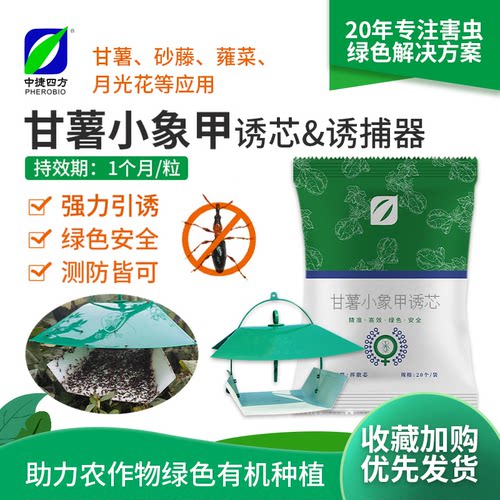 中捷四方性诱剂诱捕器甘薯小象甲