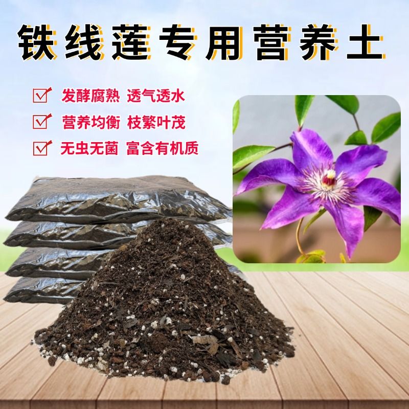铁线莲椰砖土育苗种植土透气图片