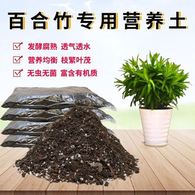 百合竹椰砖土种植土透气