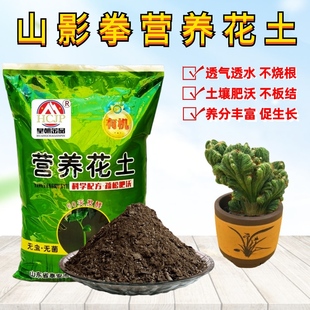 仙人山虎头罗汉山影拳营养花土室内盆景栽植物专用翻换种植土透气