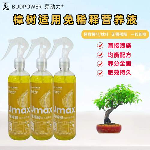 香樟树免稀释营养液室内阳台家盆景栽绿植物花卉专用喷施叶面肥料