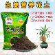 禄根姜生姜一桶姜山营养花土室内灵草盆景栽绿植物专用种植土透气