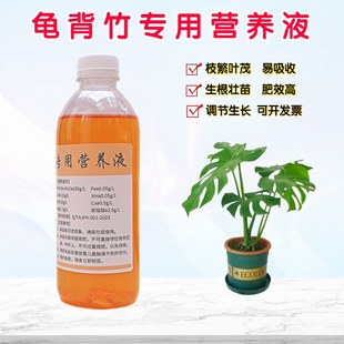龟背竹营养液大叶白锦仙洞盆栽绿植物专用浓缩水培水溶花通用肥料
