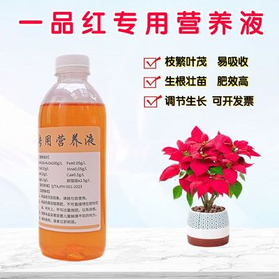 一品红营养液浓缩水溶花肥料