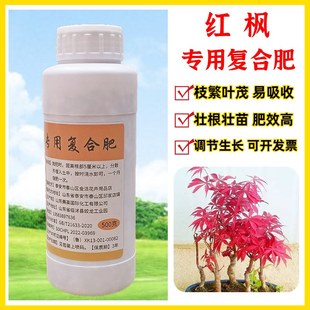 红枫树苗专用肥料盆栽绿植物黄金枫红舞姬氮磷钾通用复合缓释花肥