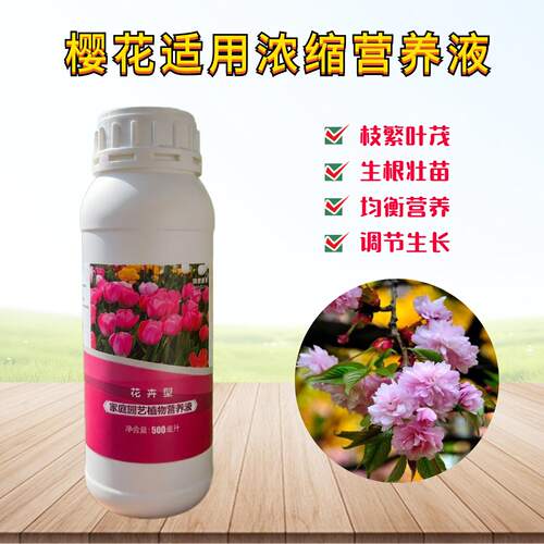 日本樱花垂枝樱营养液室内老桩盆栽绿植物专用氮磷钾水溶花卉肥料
