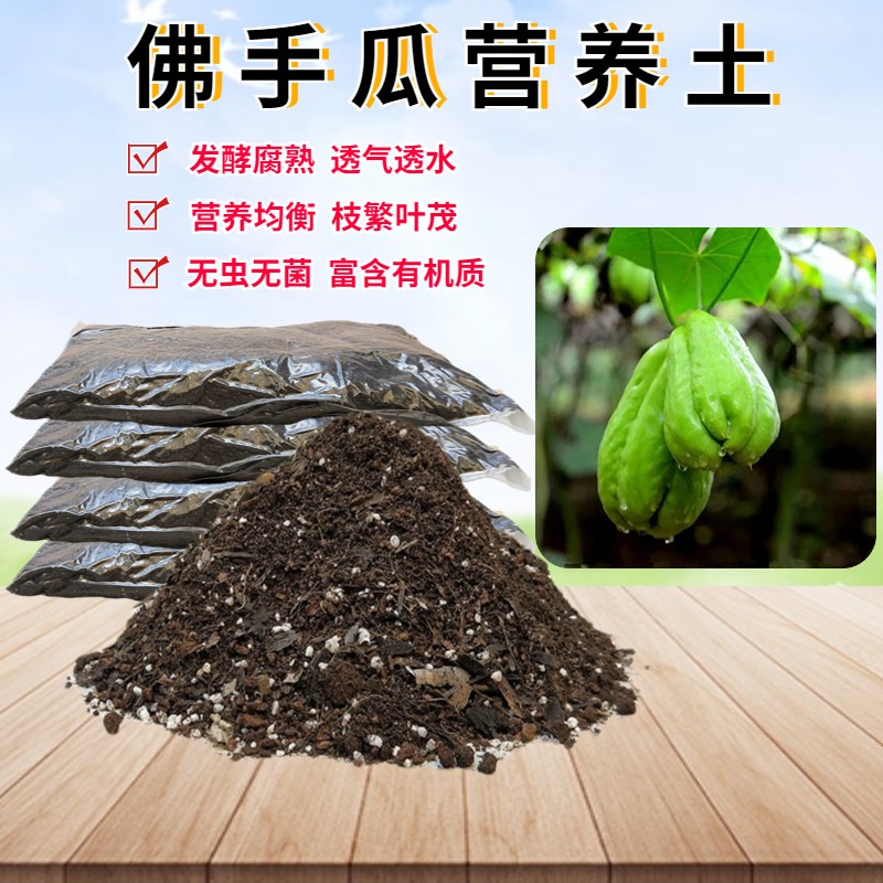 佛手瓜椰砖土育苗种植土透气
