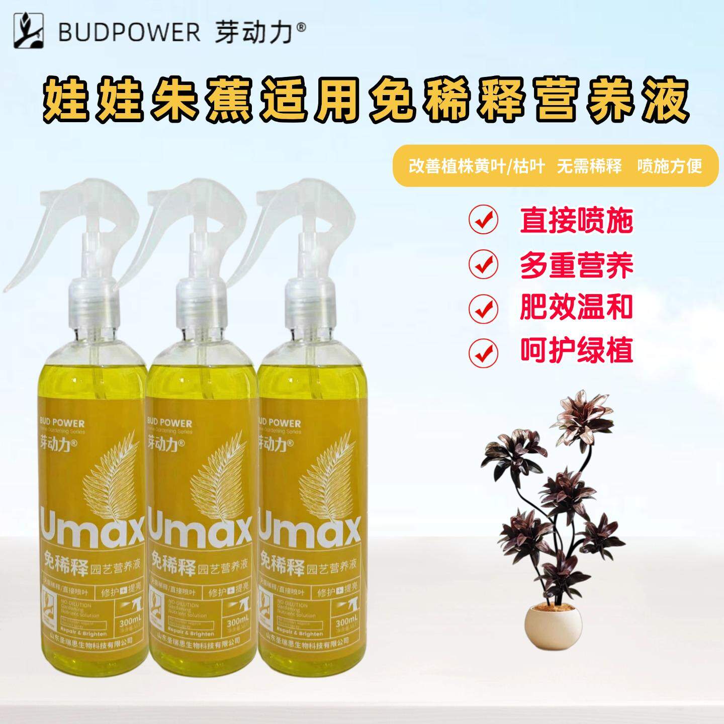 娃娃朱蕉免稀释营养液黑叶老桩大型室内盆栽绿植适用喷施叶面肥料图片
