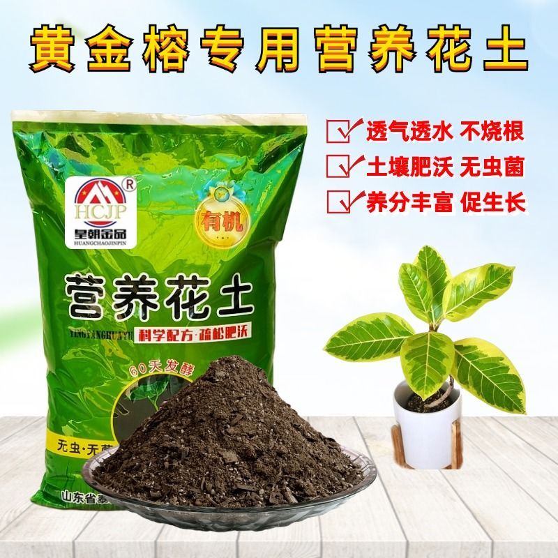 黄金榕专用营养花土种植土透气