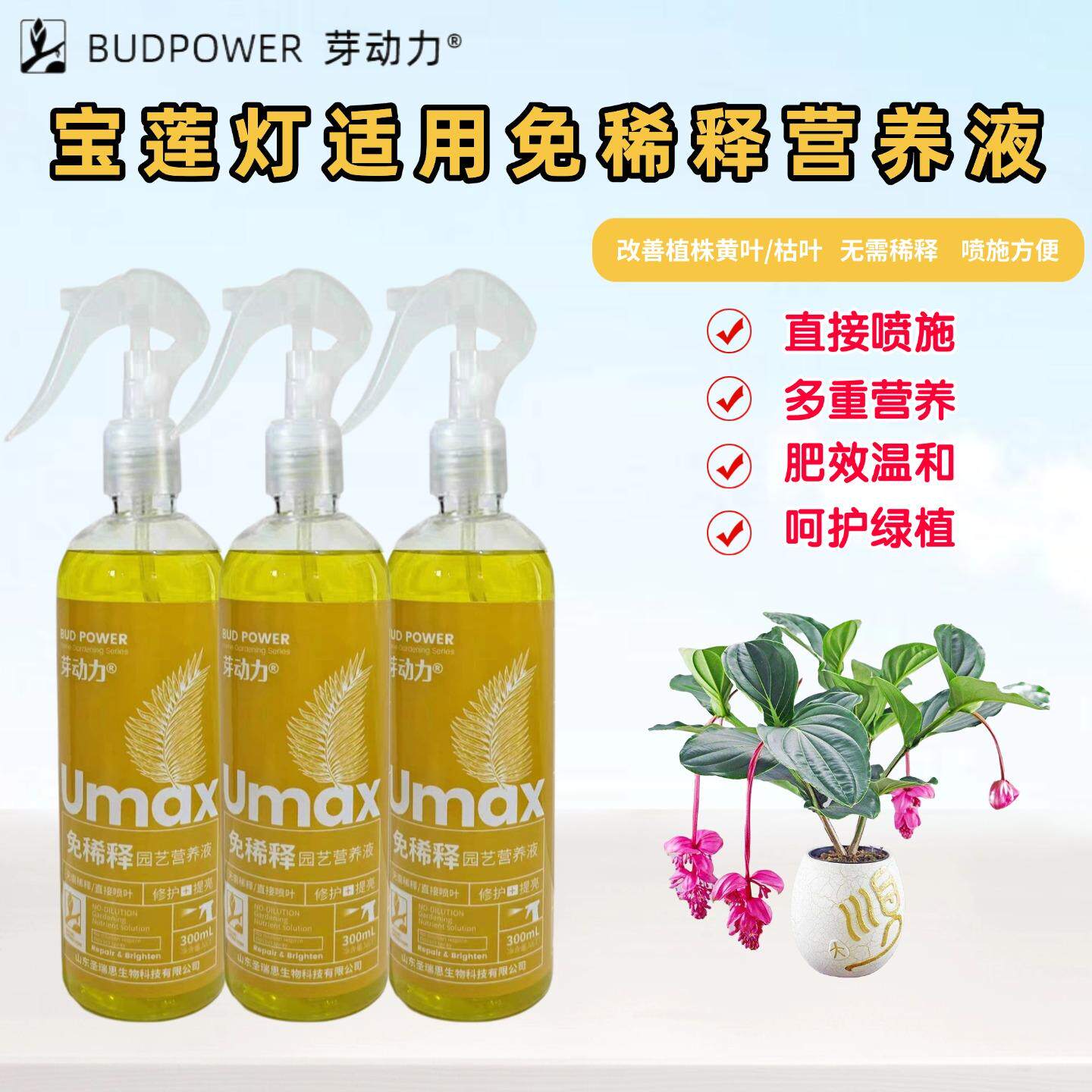 宝莲灯美丁花免稀释营养液室内阳台家用盆栽绿植适用喷施叶面肥料图片