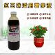 红玉珠紫玉珊瑚红果茵芋营养液盆栽绿植物专用大量元 素水溶花肥料