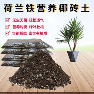 荷兰铁巨丝兰营养椰砖土室内阳台大型盆景栽绿植物专用种植土透气