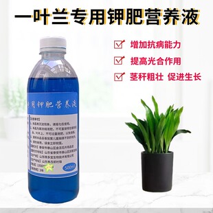 一叶兰专用钾肥营养液室内客厅盆景栽绿植物通用浓缩水溶花卉肥料