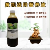 黄荆浓缩营养液室内庭院盆景栽老桩植物专用大量元 素水溶花卉肥料