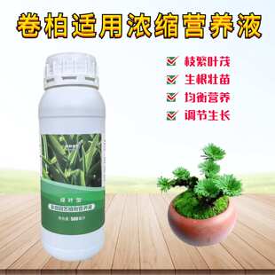 卷柏九死还魂草浓缩营养液室内盆景栽绿植专用氮磷钾水溶花卉肥料