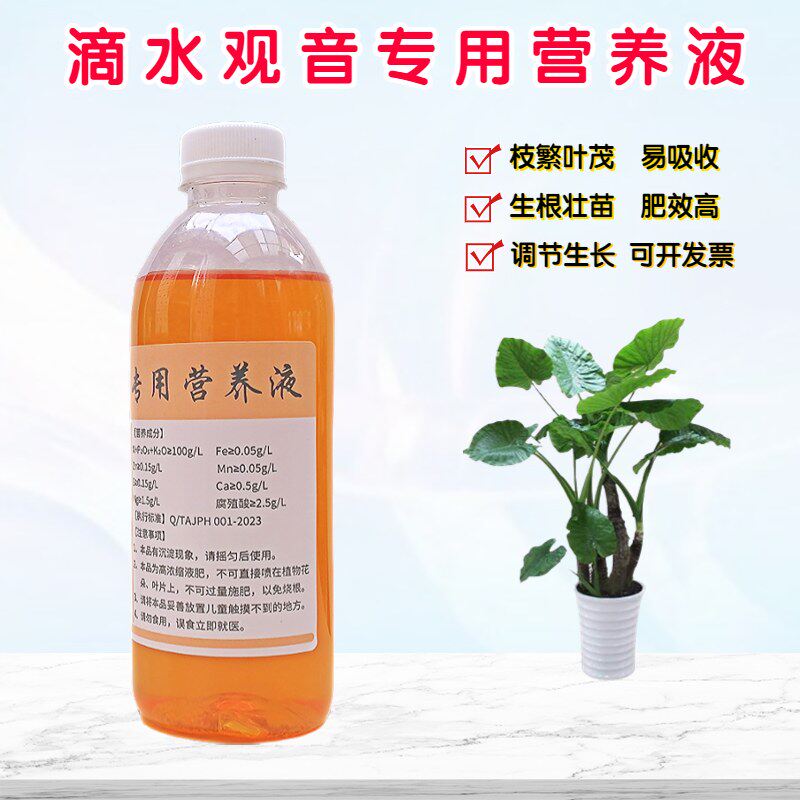 滴水观音营养液浓缩水溶花肥料图片