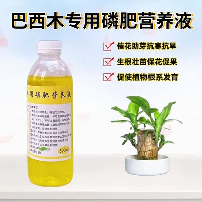 巴西木浓缩水溶花卉肥料