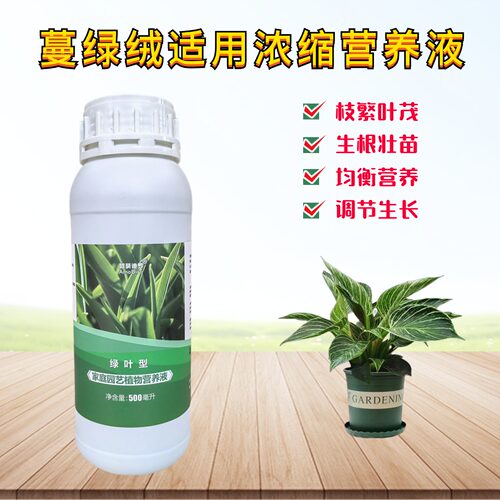 蔓绿绒铂金钻锦化绿公主浓缩营养液盆栽绿植专用氮磷钾水溶花肥料