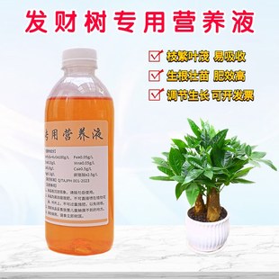 发财树专用营养液办公室内大棵小盆栽植物通用浓缩水培水溶花肥料