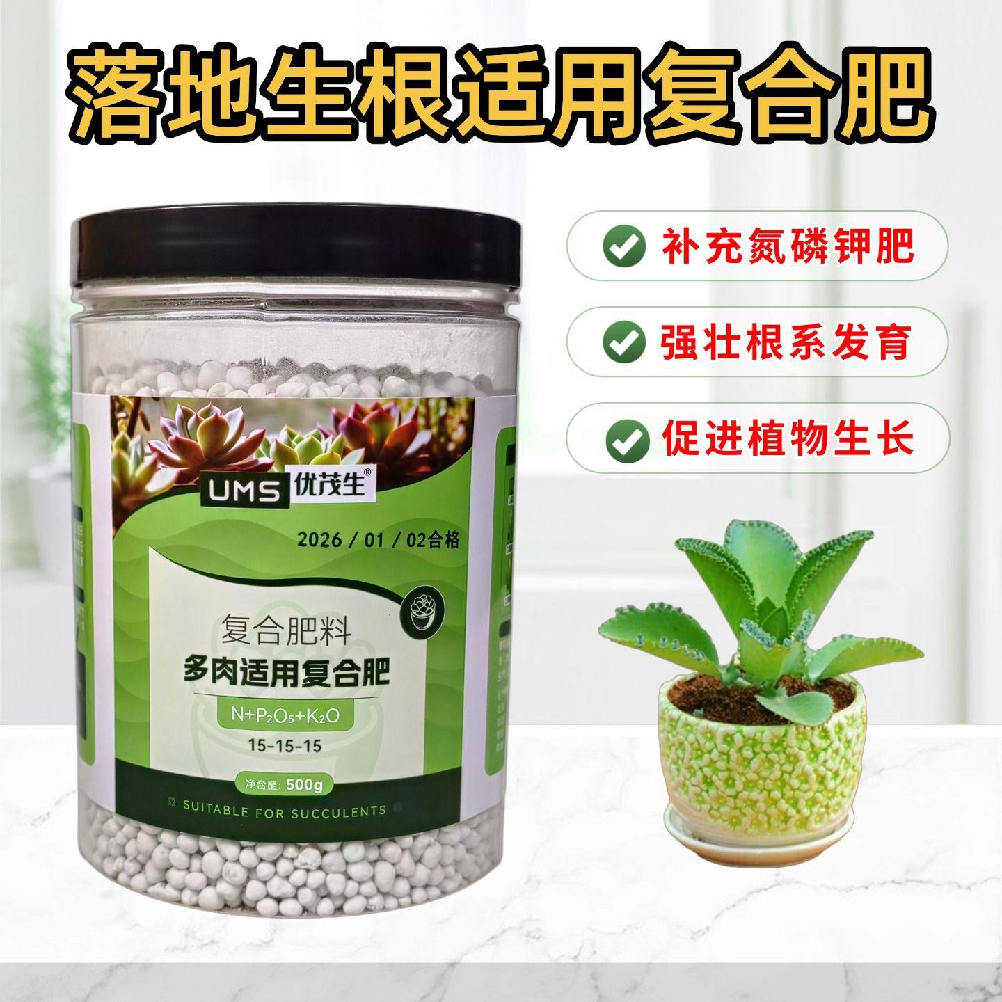 大叶落地生根宽叶不死鸟复合肥老桩盆栽多肉植物氮磷钾专用花肥料