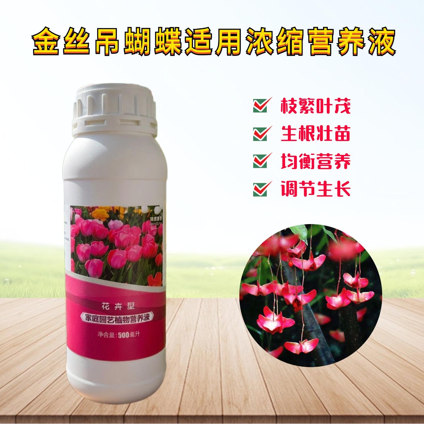 金丝吊蝴蝶营养液卫矛老桩摇钱树盆景绿植物专用氮磷钾水溶花肥料