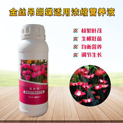 金丝吊蝴蝶营养液卫矛老桩摇钱树盆景绿植物专用氮磷钾水溶花肥料